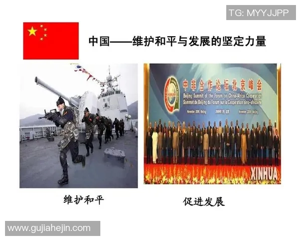 科学与和平精英力量训练方法的全面解析与实践指南实时新闻